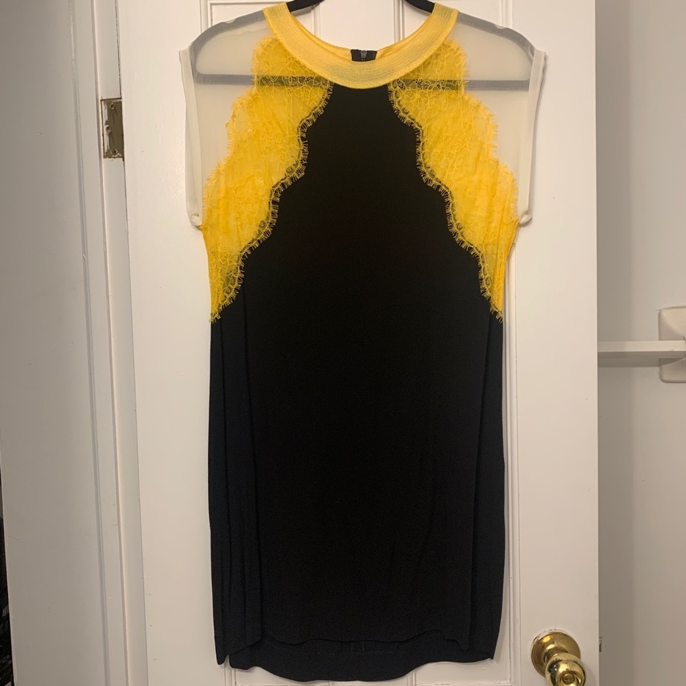 SANDRO Paris Rosen Casual Dress Size 1 / 36 / S